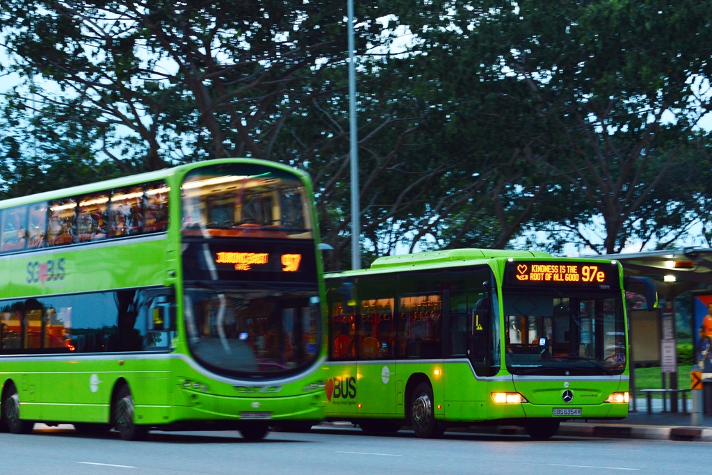 File Photo: Tower Transit buses operating in the Central Business District during evening peak hours.